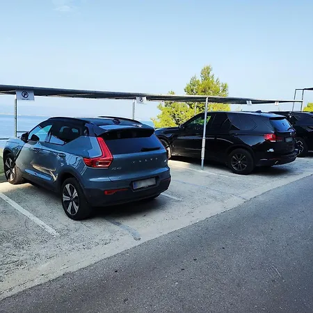 Visnja Brela